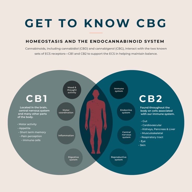 Understanding CBD